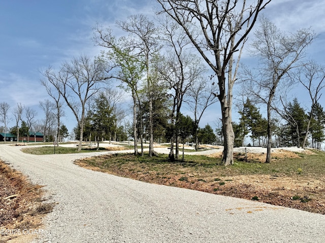 466 Rte Y, Arcola, MO 65603 - photo 78