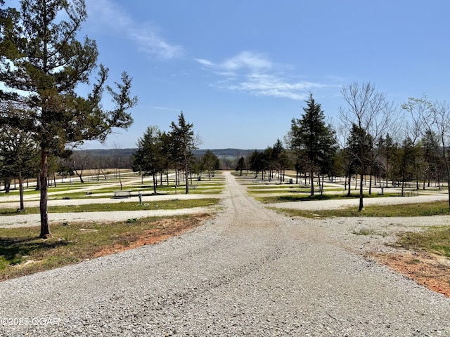 466 Rte Y, Arcola, MO 65603 - photo 82