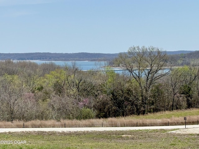 466 Rte Y, Arcola, MO 65603 - photo 84