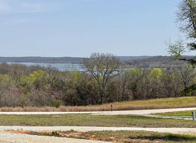 466 Rte Y, Arcola, MO 65603 - photo 85