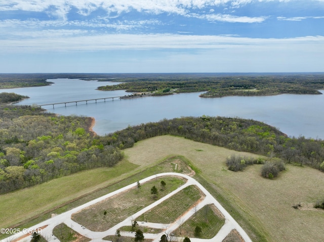 466 Rte Y, Arcola, MO 65603 - photo 89