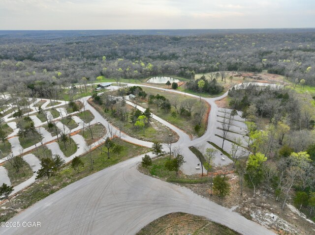 466 Rte Y, Arcola, MO 65603 - photo 98