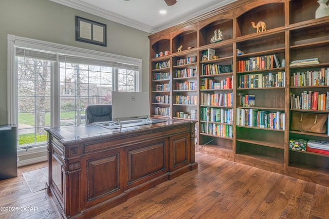 home office featuring hardwood / wood-style floors, a ceiling fan, ornamental molding, and a wealth of natural light