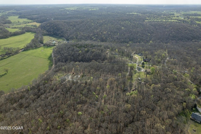 17881 Goldfinch Rd, Neosho, MO 64850 - drone / aerial view featuring a rural view and a forest view