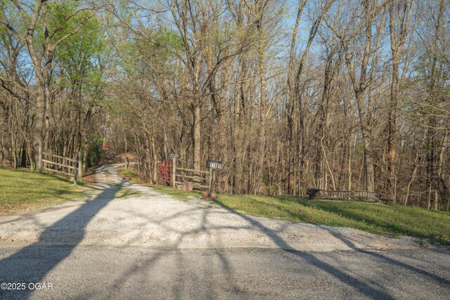 17881 Goldfinch Rd, Neosho, MO 64850 - view of street featuring driveway and a forest view
