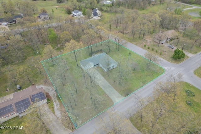 bird's eye view