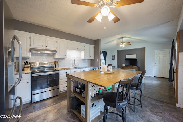 kitchen with under cabinet range hood, a ceiling fan, appliances with stainless steel finishes, and white cabinets