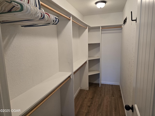 2798 Neosho Heights Ave, Neosho, MO 64850 - walk in closet with dark wood-style floors