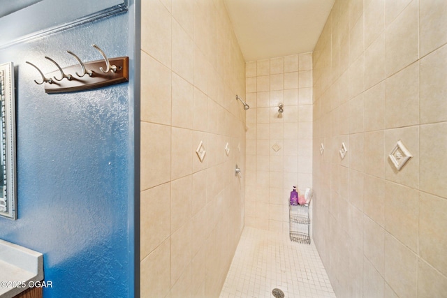 24336 S Hilltop Dr, Afton, OK 74331 - bathroom featuring tiled shower