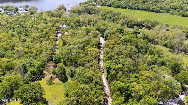24336 S Hilltop Dr, Afton, OK 74331 - birds eye view of property with a view of trees