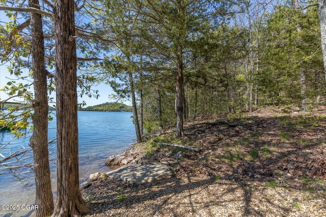 21425 Black Oak Dr, Garfield, AR 72732 - water view with a forest
