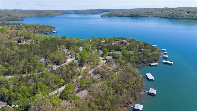21425 Black Oak Dr, Garfield, AR 72732 - aerial view of property and surrounding area with a forest and a large body of water