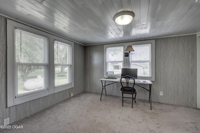 16549 Inca Rd, Carthage, MO 64836 - photo 23