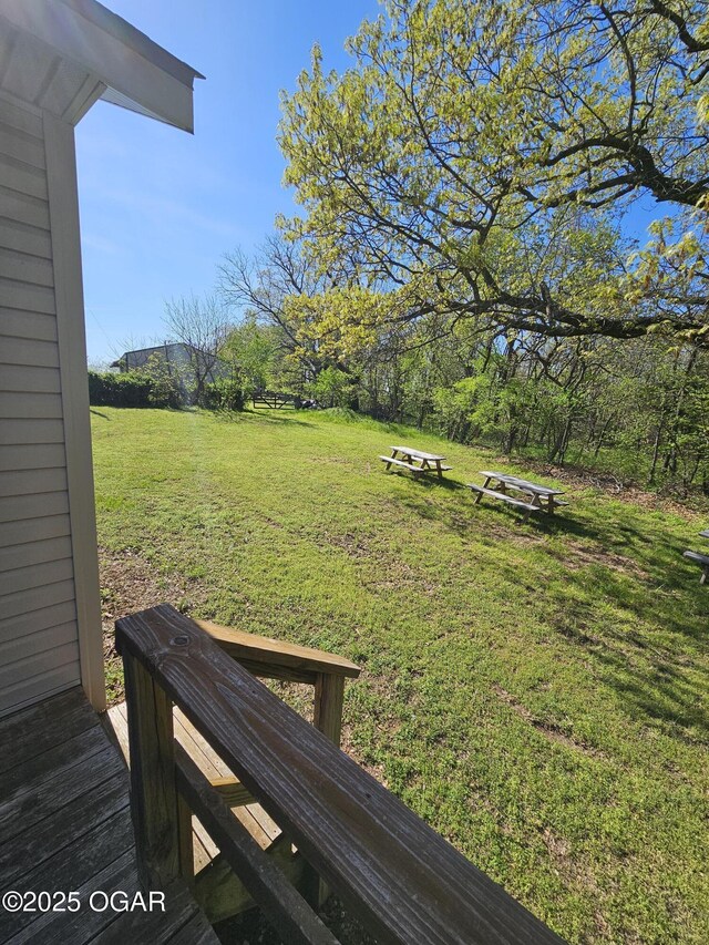 4919 State Highway 76, Anderson, MO 64831 - view of yard
