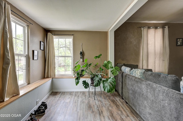 living area with baseboards, wood finished floors, and a wealth of natural light