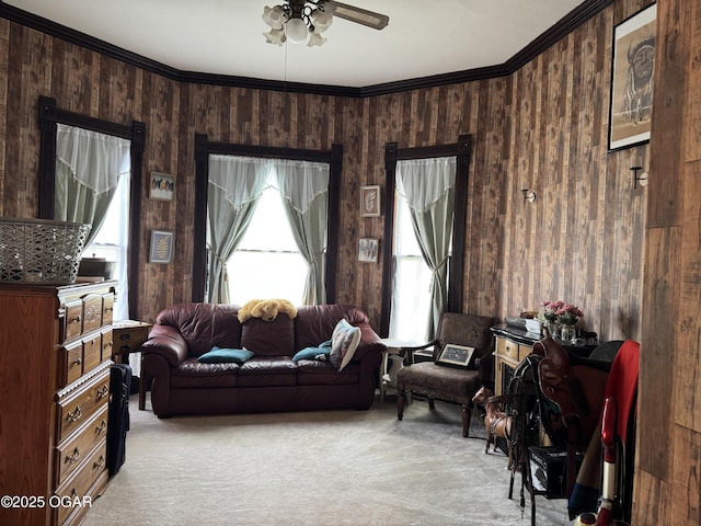 301 S 7th St, Sarcoxie, MO 64862 - living area with ceiling fan, light carpet, wood walls, and a wealth of natural light