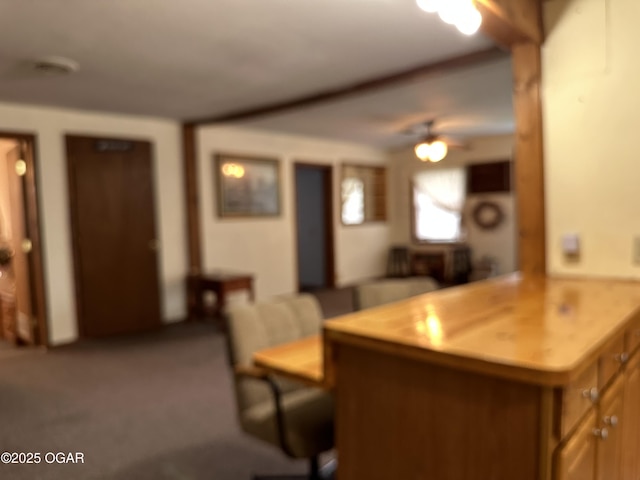 110 E Russell St, Goodman, MO 64843 - kitchen with a ceiling fan and carpet