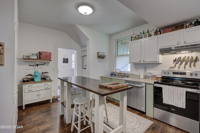 kitchen featuring dark wood-style flooring, under cabinet range hood, a sink, wood counters, and appliances with stainless steel finishes