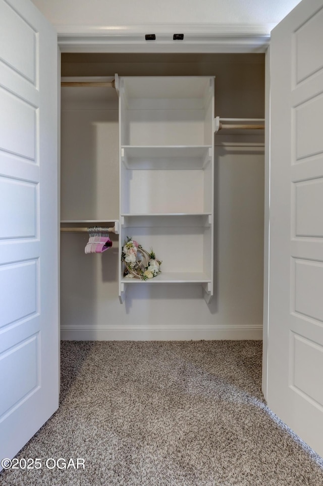 view of closet