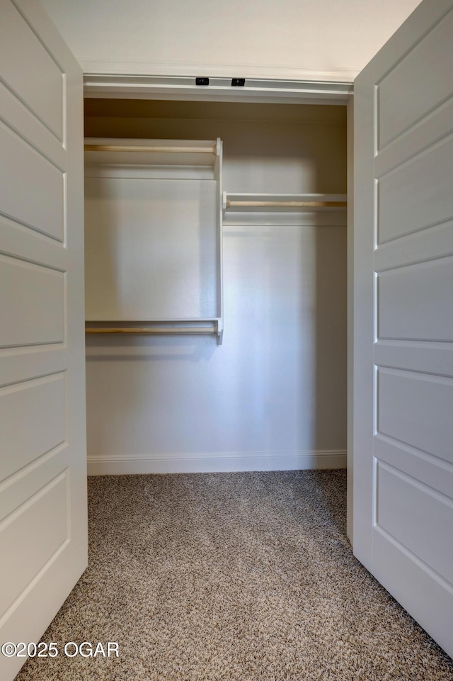 view of closet
