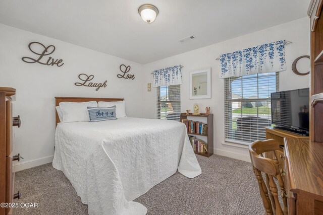 bedroom featuring carpet, multiple windows, and baseboards