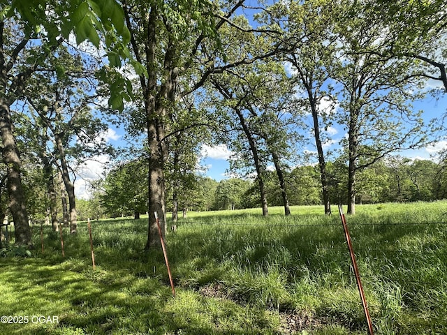 1793 8000th Rd, Oswego, KS 67356 - view of nature