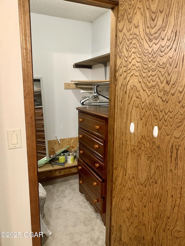 walk in closet with light carpet