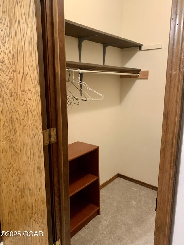 walk in closet with carpet floors