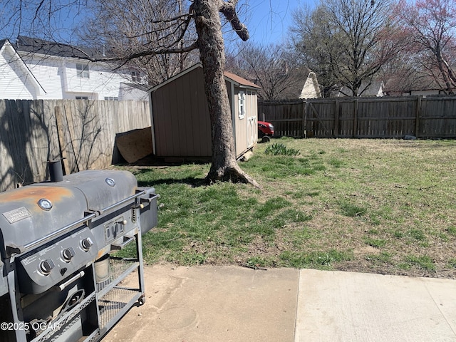 view of yard with an outdoor structure, a fenced backyard, and a storage unit