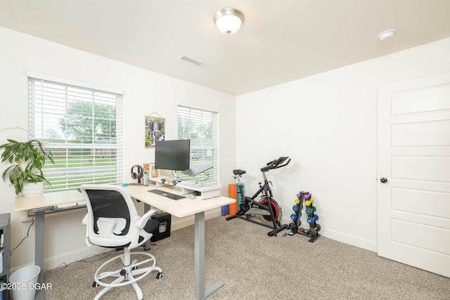 2006 Eagle Dr, Neosho, MO 64850 - office featuring carpet flooring and baseboards