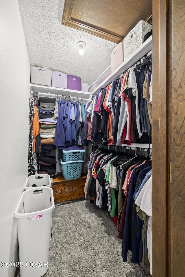 walk in closet featuring carpet flooring
