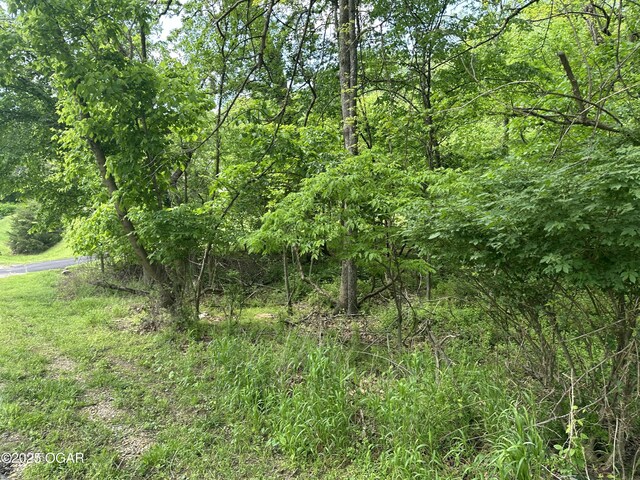 LOT8 Shady Ln Unit 8, Joplin, MO 64804