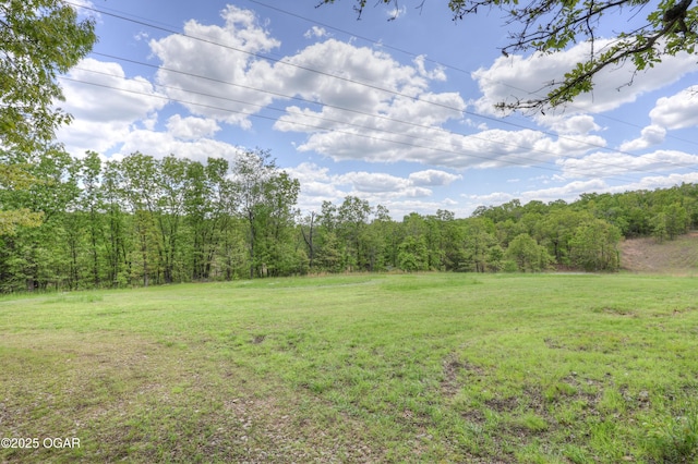 4537 Dolphin Dr, Joplin, MO 64804 - view of yard with a wooded view