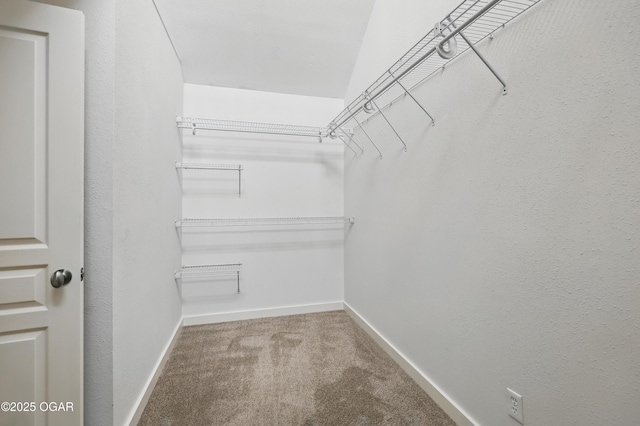 1214 Bramar Dr, Joplin, MO 64804 - spacious closet featuring carpet floors