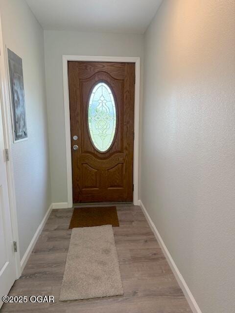 entryway featuring baseboards and wood finished floors