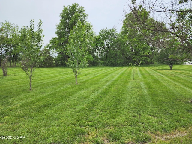 view of grassy yard