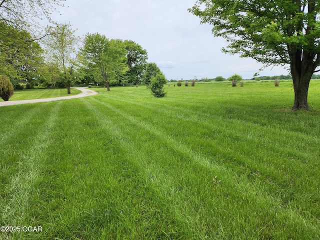 view of yard