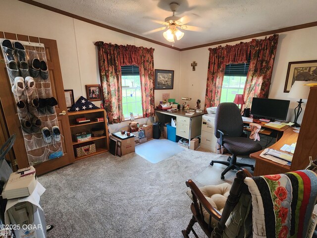 carpeted home office featuring ornamental molding, a textured ceiling, and ceiling fan