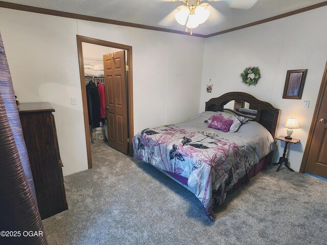 bedroom featuring carpet floors, crown molding, a spacious closet, a closet, and ceiling fan