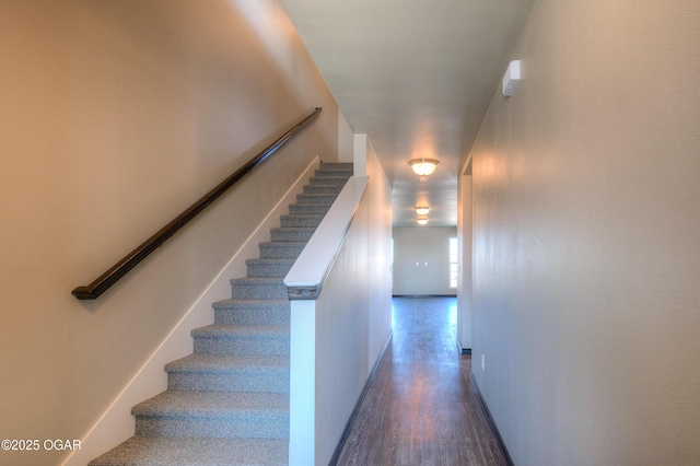 staircase with wood finished floors