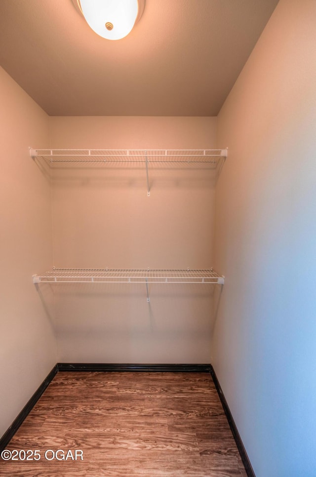 spacious closet featuring wood finished floors