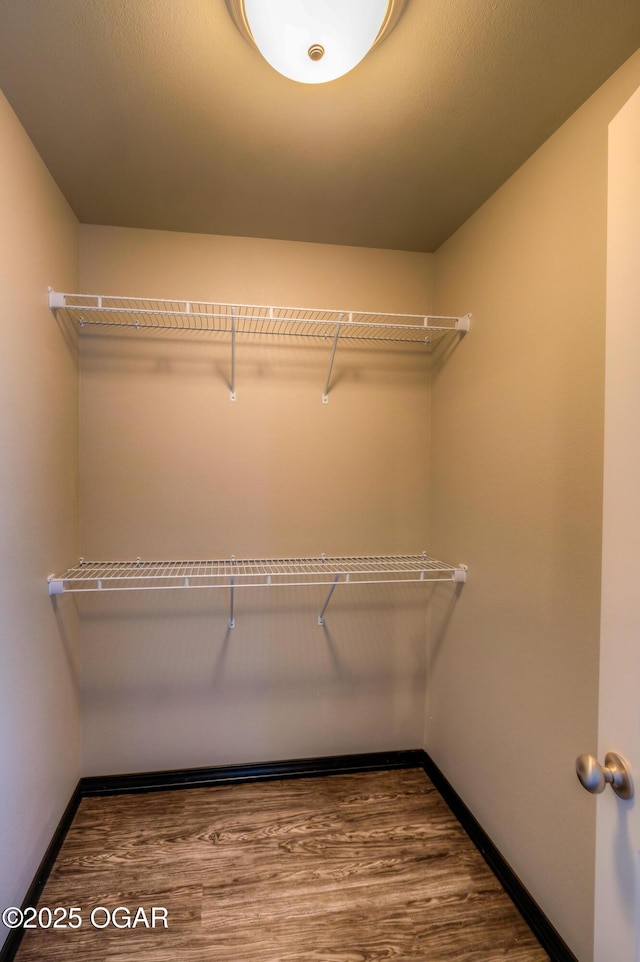 spacious closet featuring wood finished floors