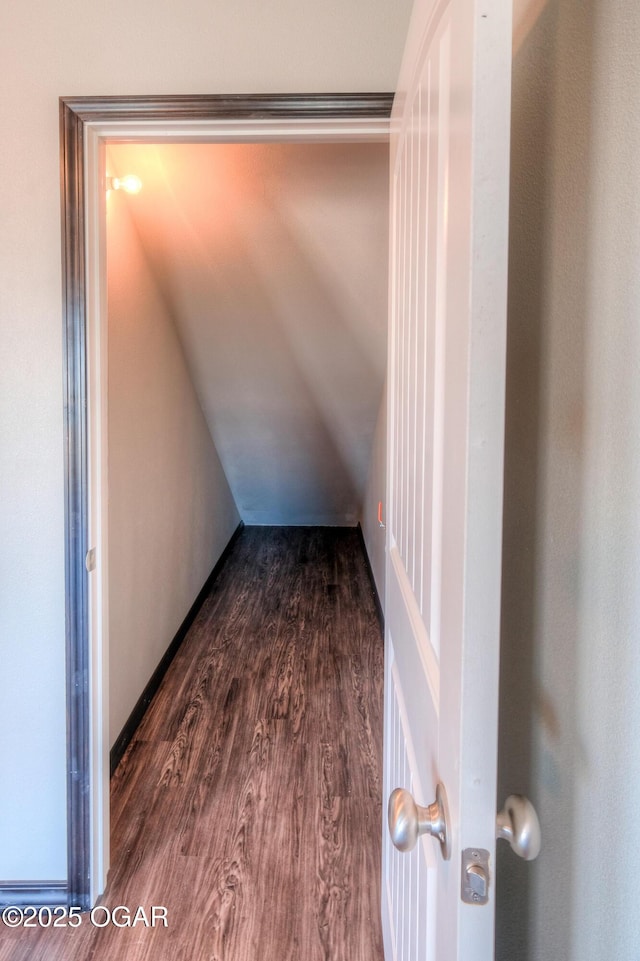 hall featuring dark wood-type flooring