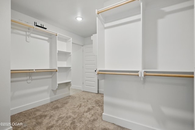 1318 Foundry Dr, Carthage, MO 64836 - spacious closet with carpet