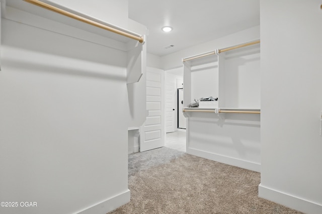 1318 Foundry Dr, Carthage, MO 64836 - walk in closet with carpet flooring