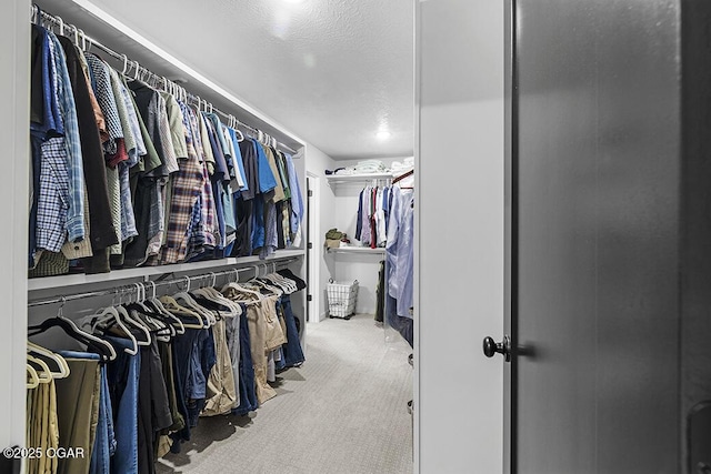1528 N Edgemont Cir, Springfield, MO 65802 - walk in closet with carpet flooring