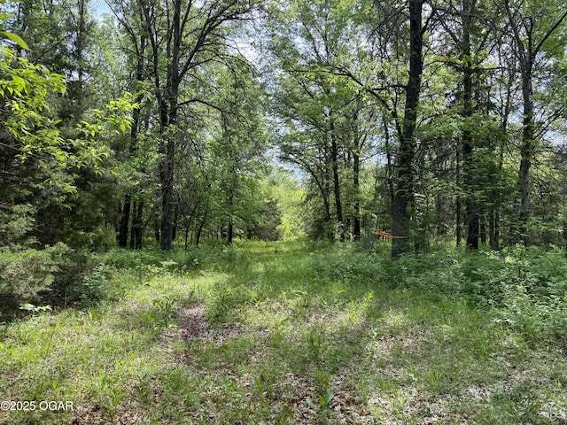 3200 E Grange Rd, Richards, MO 64778