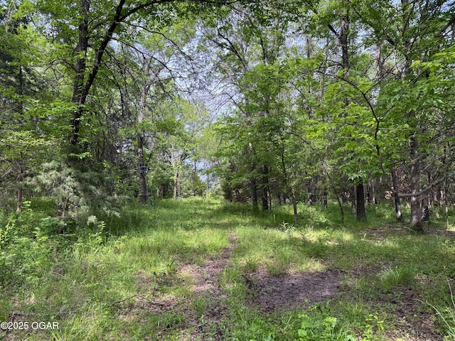 3200 E Grange Rd, Richards, MO 64778