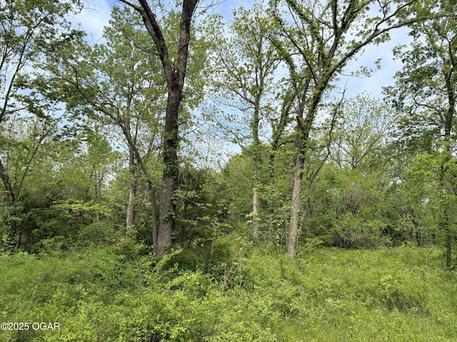 3200 E Grange Rd, Richards, MO 64778