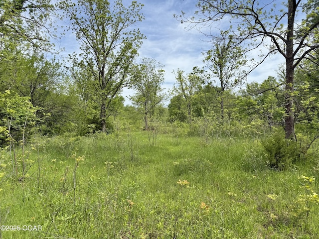3200 E Grange Rd, Richards, MO 64778
